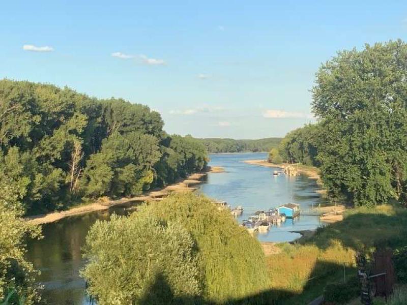Lage direkt am Rhein