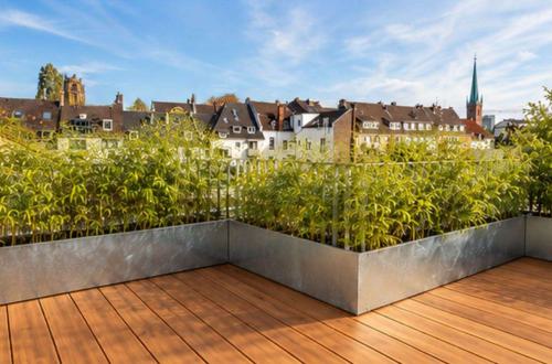 Dachterrasse, Panorama u. Geländer real, Bambus-Terrassenbelag und Bepflanzung KI-generiert